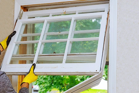 Window Replacement in Tamiami, FL